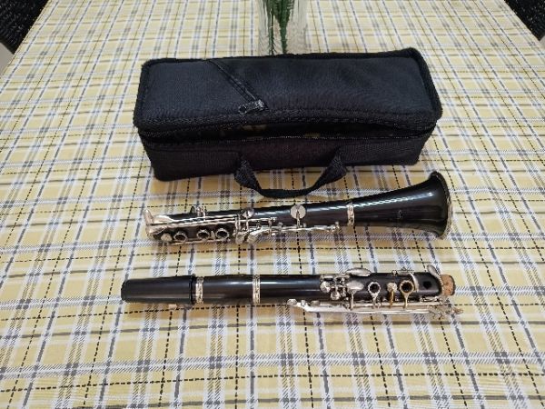 Clarinete Eastman Sib 17 chaves em Ebonite + bag em nylon