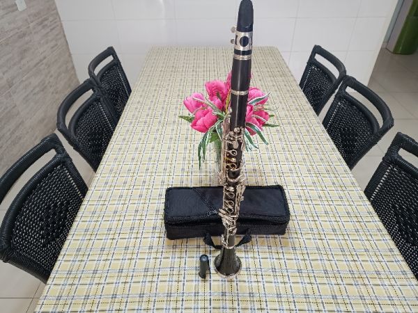 Clarinete Eastman Sib 17 chaves em Ebonite + bag em nylon